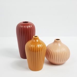 CB2 Terracotta, Mustard, and Blush Vases Set